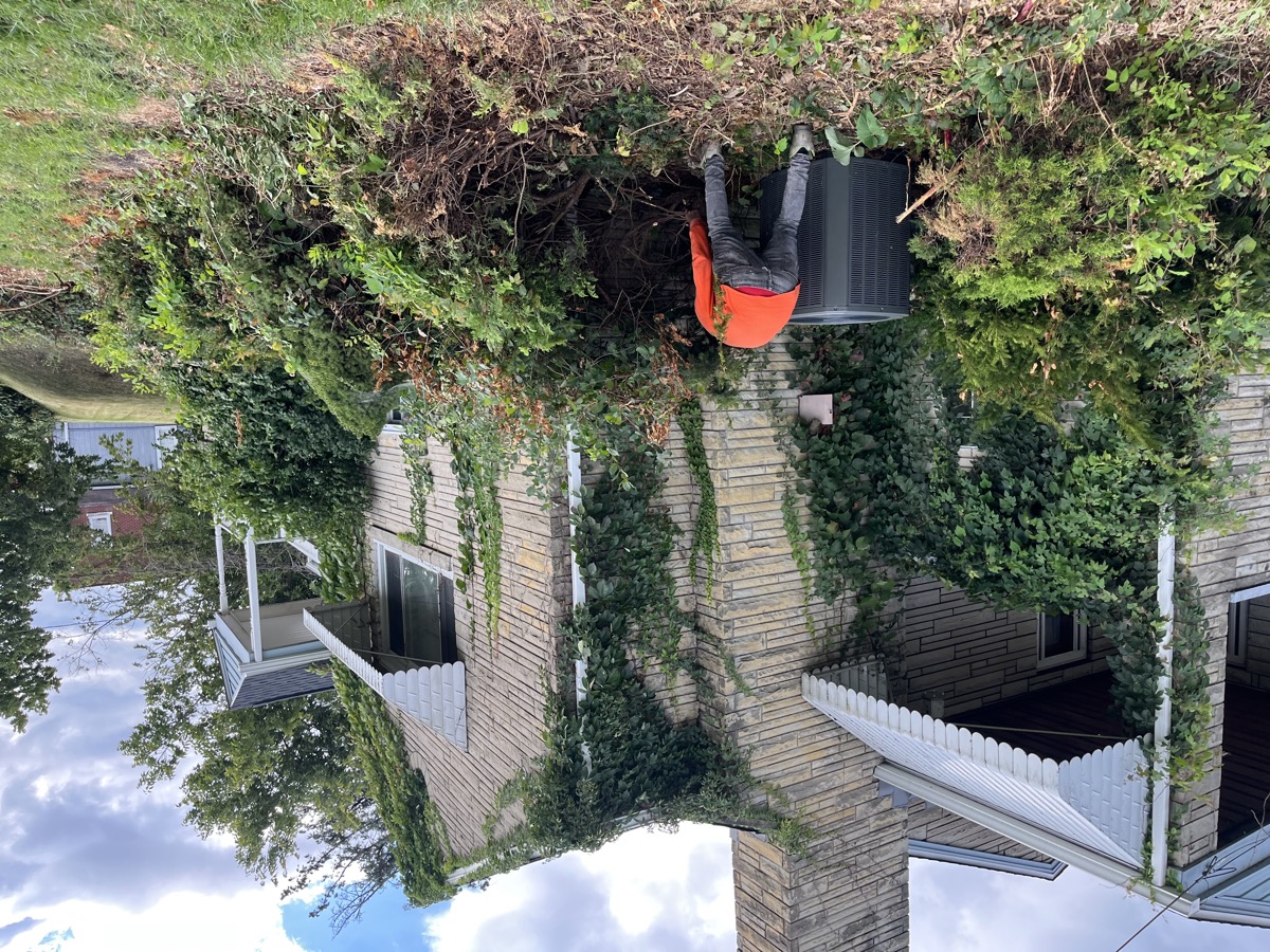 Landscape Construction