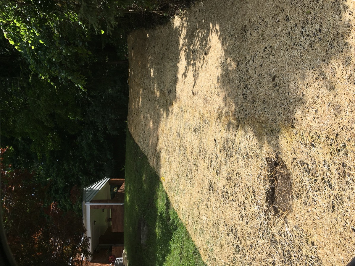 Landscape Construction